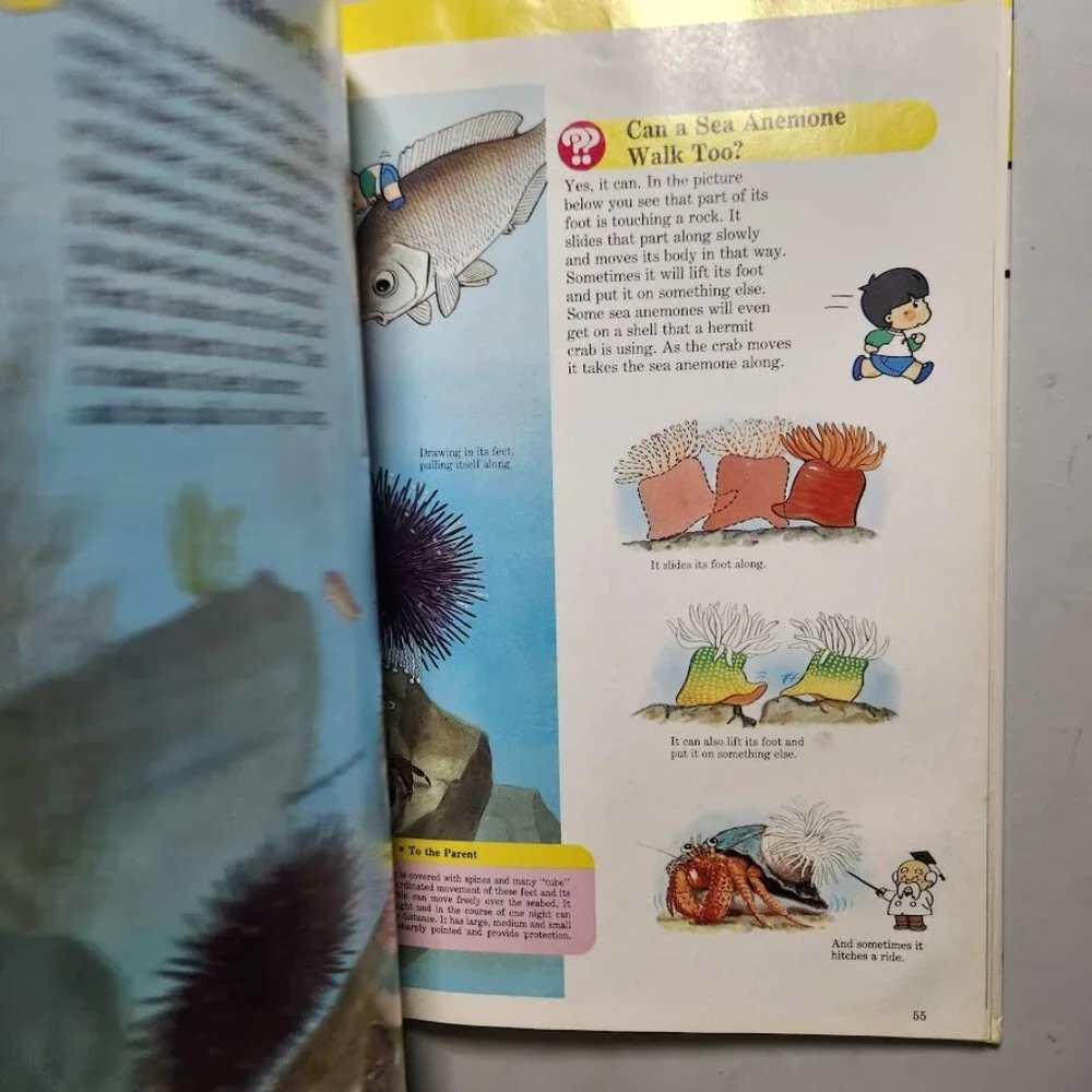 Life in the Water Child's First Library of Learning Science Stem Book Homeschool